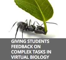 Giving Students Feedback on Complex Tasks in Virtual Biology Labs