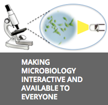 Making Microbiology Interactive and Available to Everyone